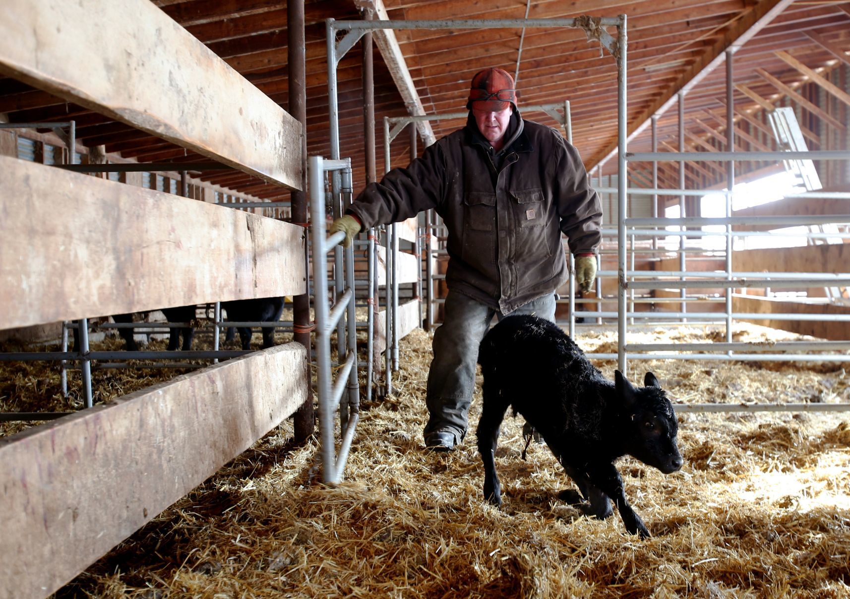 Ballantine rancher Dean Becker